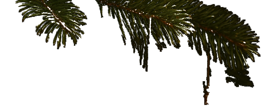 trees