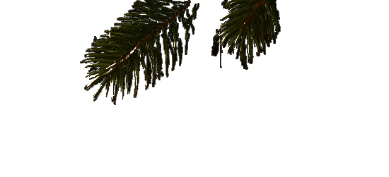 trees